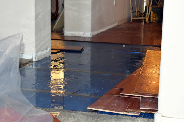 Professional Basement Flood Cleanup technician working in Nixon, TX
